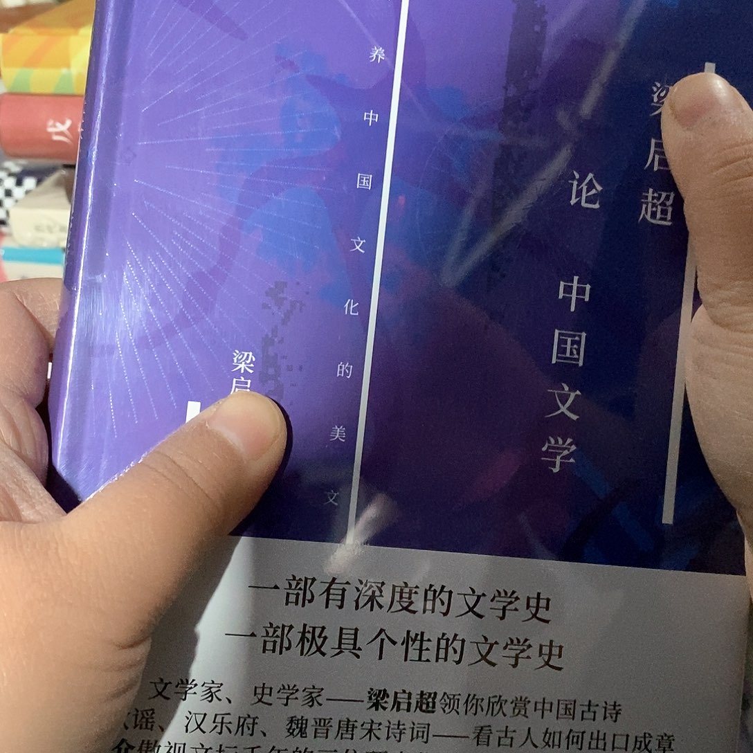 梁老师论中国文学  