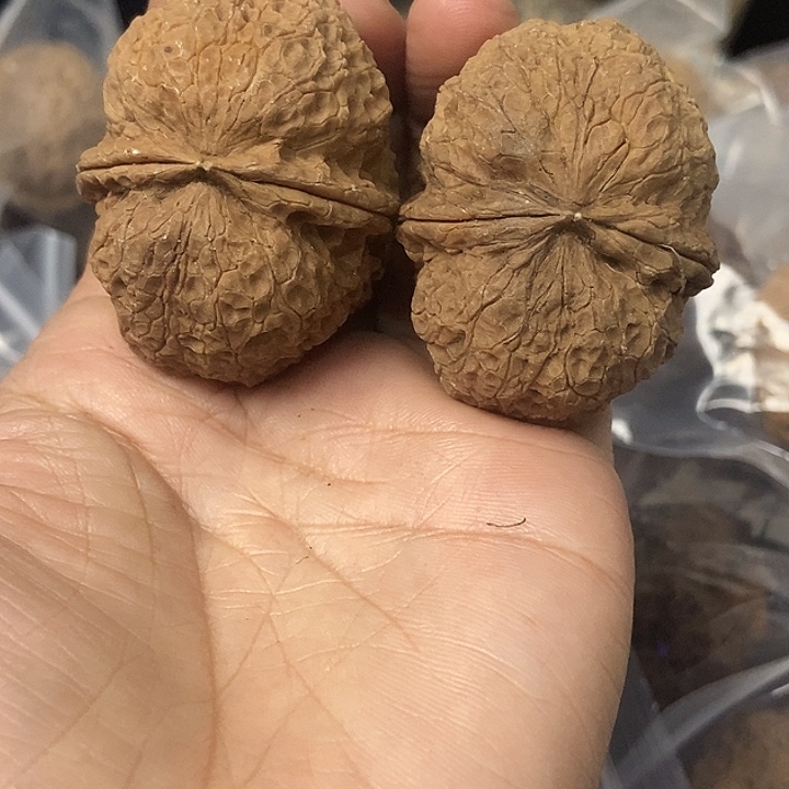文玩核桃把件云南铁核桃基地99