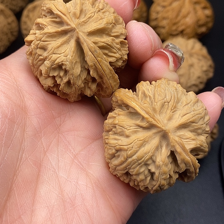 大叶紫檀（黑酸枝木类）萍果43