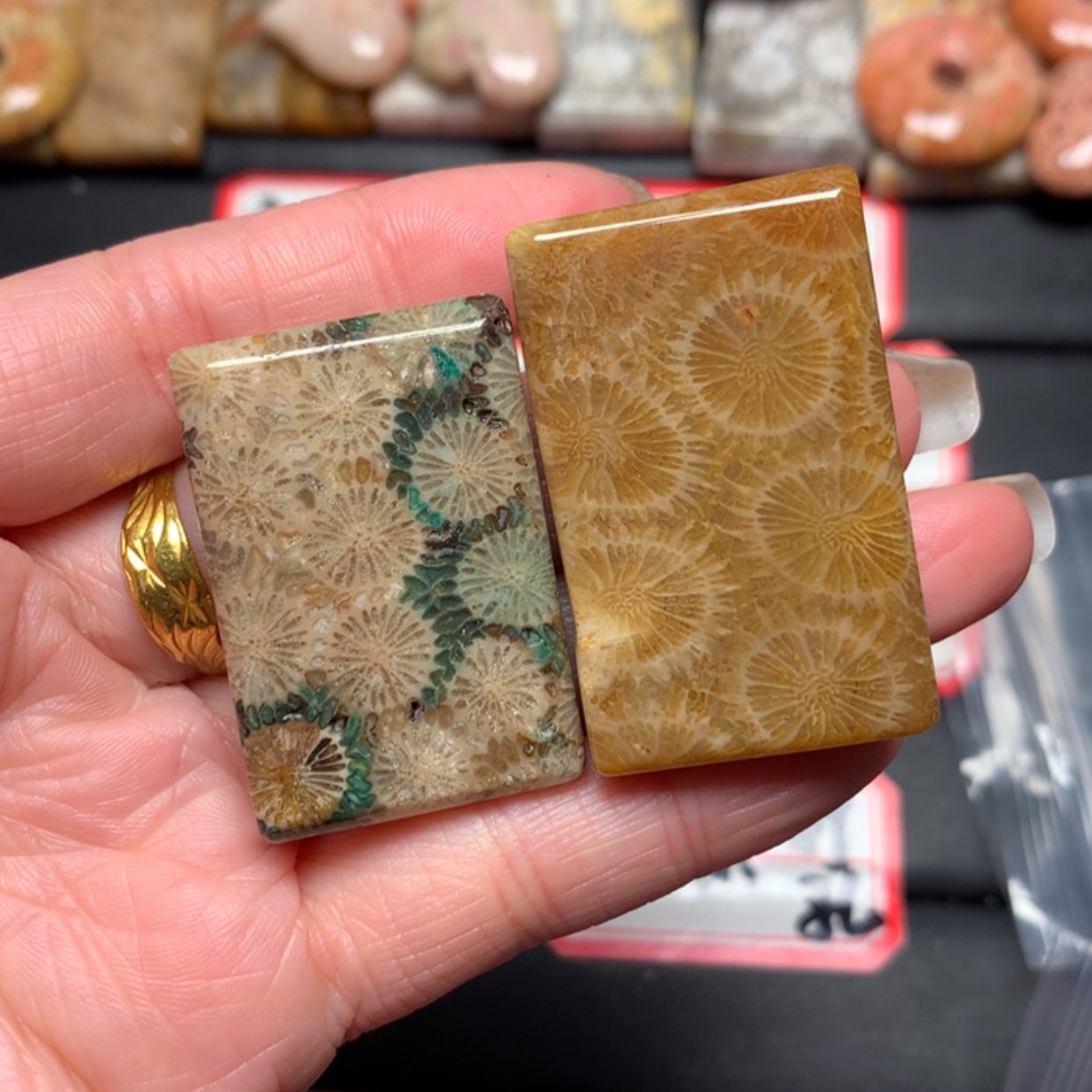 【闪购商品】硅化玉颈饰未镶嵌缘**你