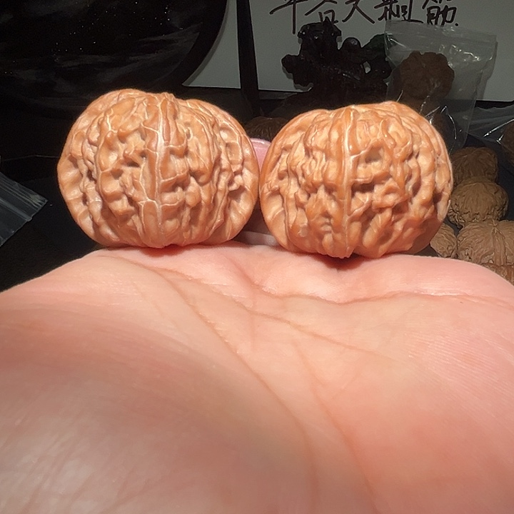 ****、木42经典蝴蝶。        