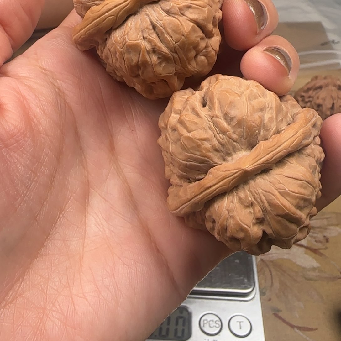 文玩核桃吊坠蛤蟆42-16