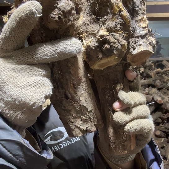 香榧木昭***匠火琉璃的故事毛料摆件