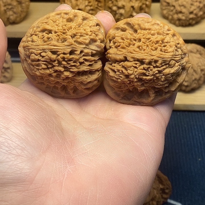 核桃46南疆石福利来啦