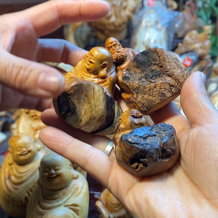 希***凸木11111111111111111111