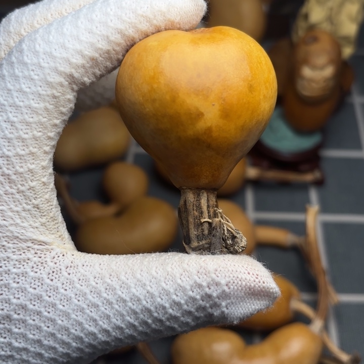 *****666666666666666666