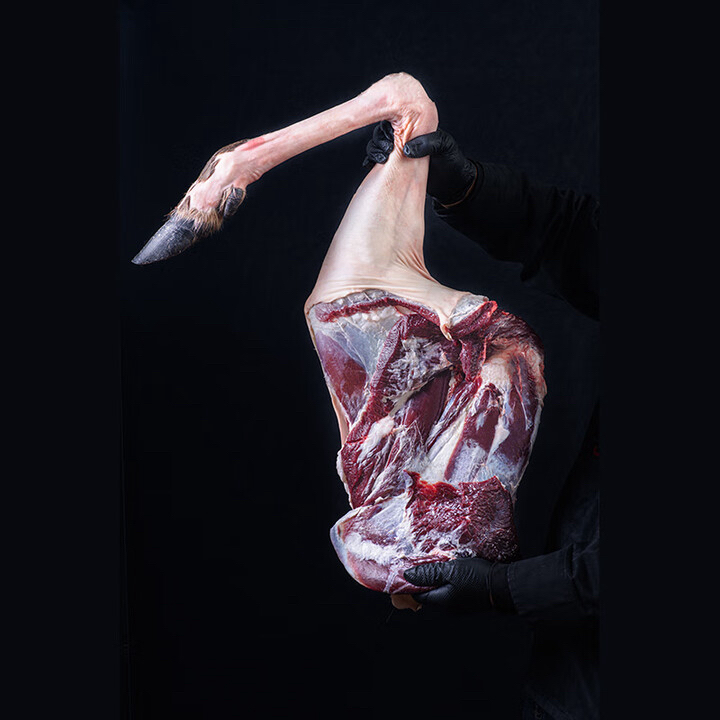 梅花鹿腿 全筋 带蹄 以直播间为准 