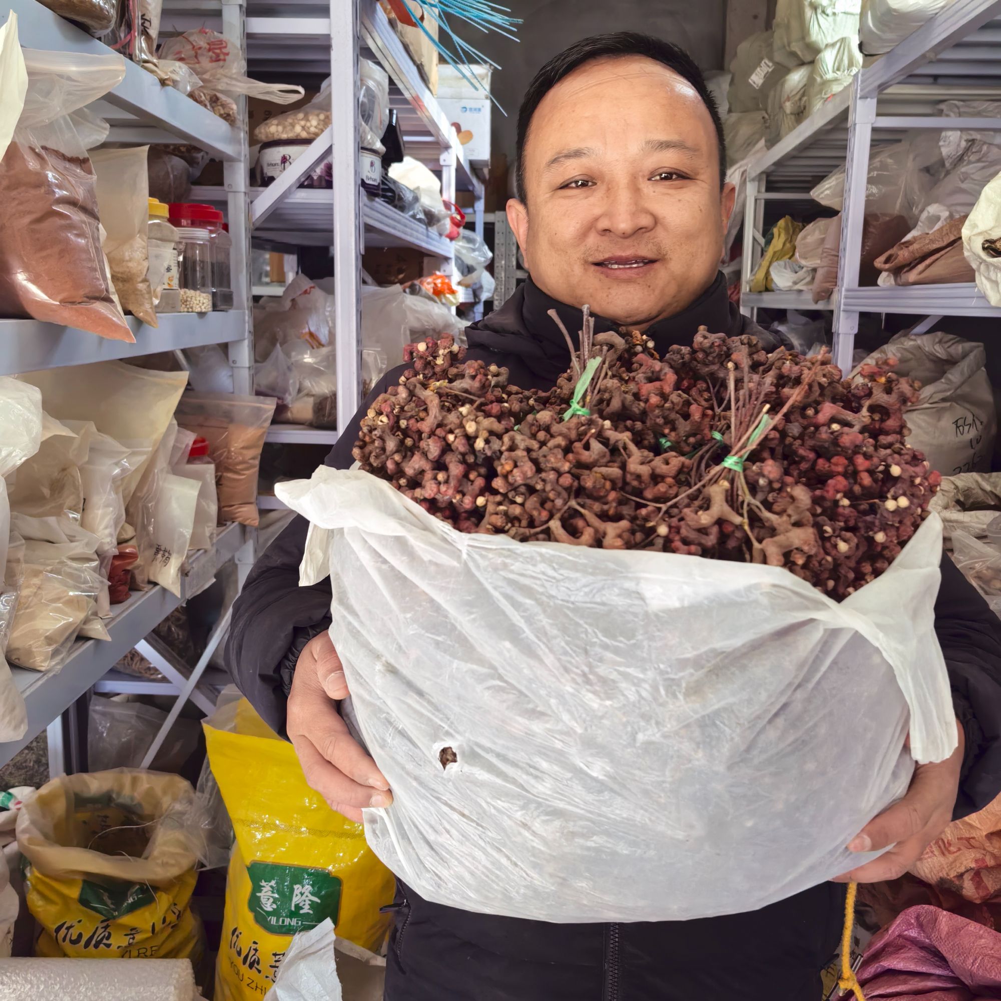 拐枣 甘肃拐枣 霜打过的拐枣 院子地边等栽种的新鲜拐枣