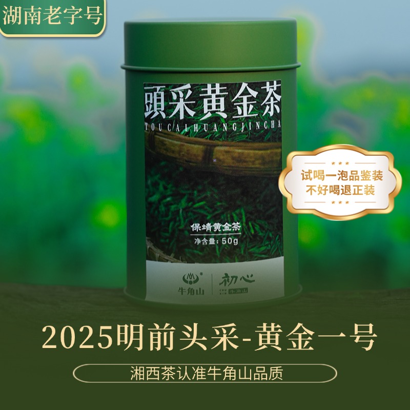 【2025黄金1号头采一芽一叶】湘西保靖黄金茶绿茶鲜嫩爽醇春茶抢鲜