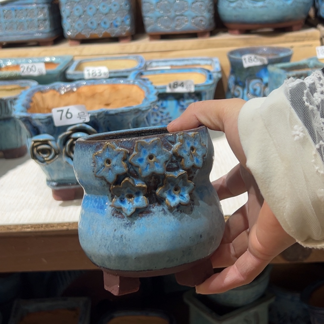 尚雅陶坊多肉花盆，待选盆