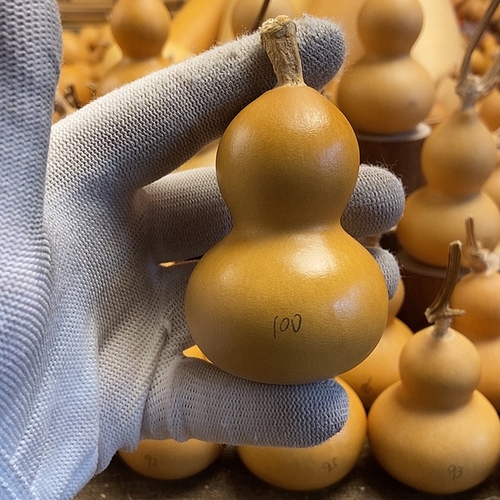 文玩葫芦 完美主义者 慎拍100