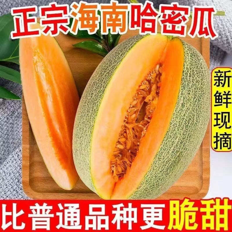 产地直发海南哈密瓜应季水果