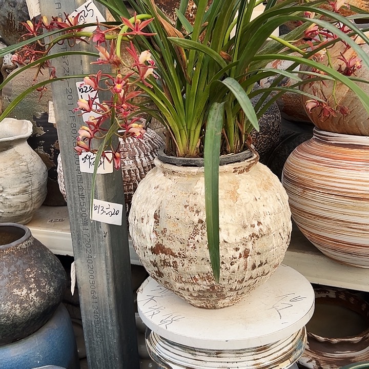 景德镇精品花盆栽适口15高24