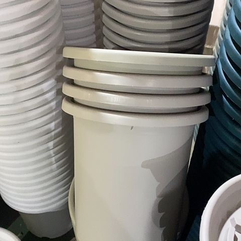 树脂四季7号2个无托灰白