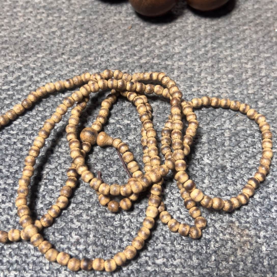 木欢迎老师们进入直播间