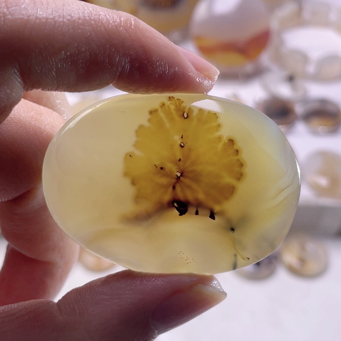 玛瑙/玉髓未镶嵌珠宝奇石