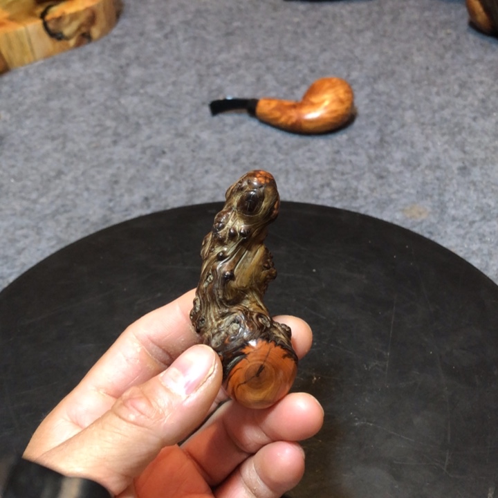 柏木（崖柏）溪*崖柏24