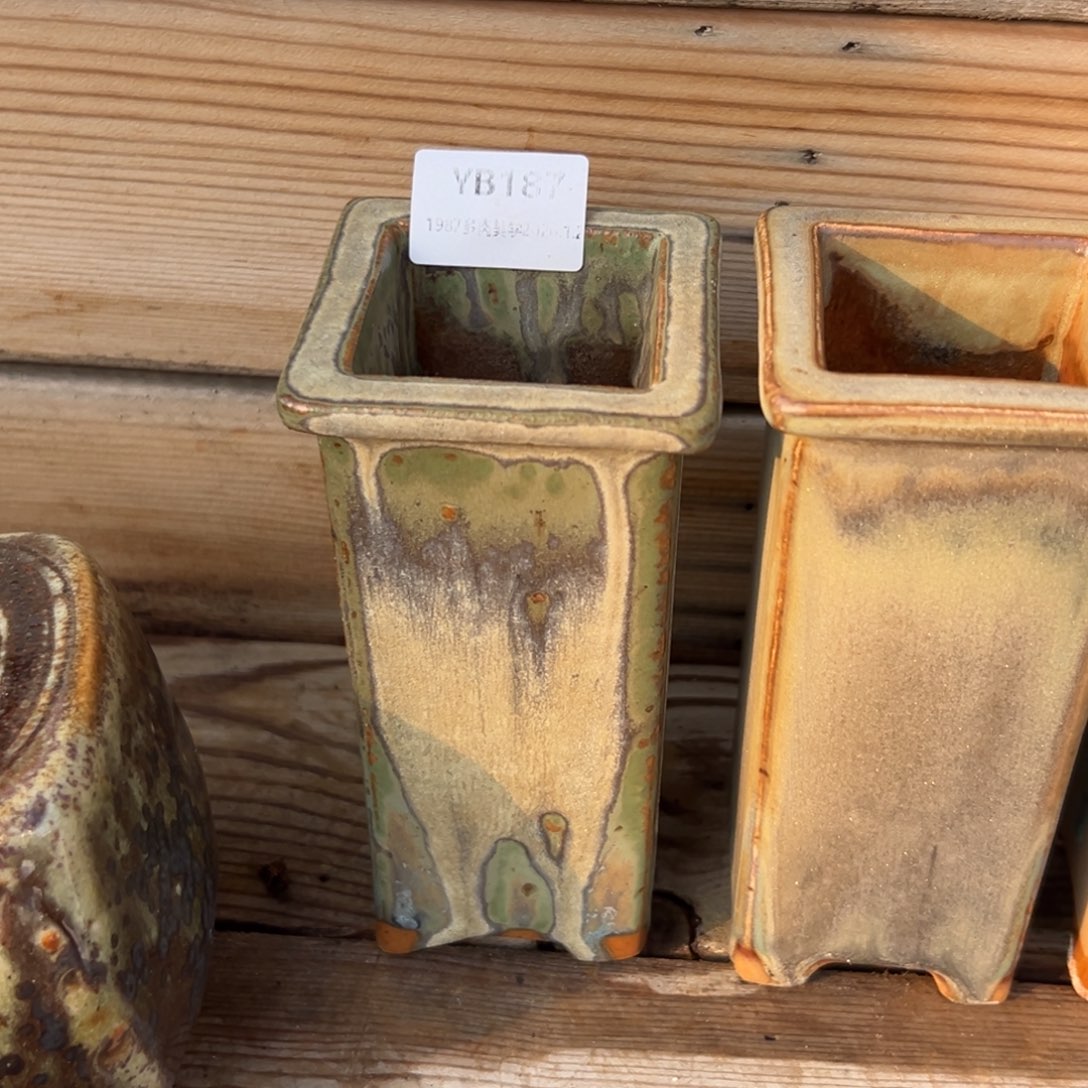 李***大1987多肉花盆6折盆187