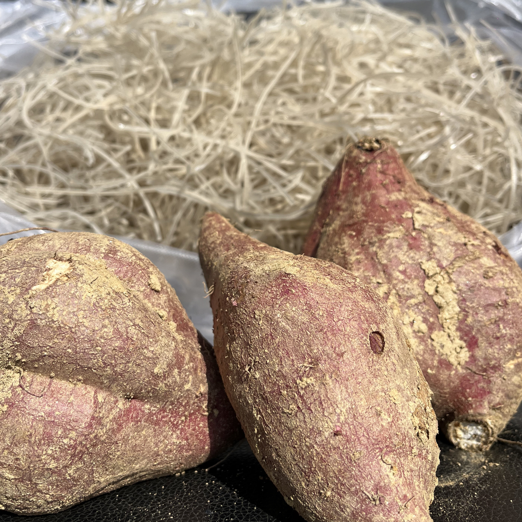 平江本地红薯2025新茴粉丝