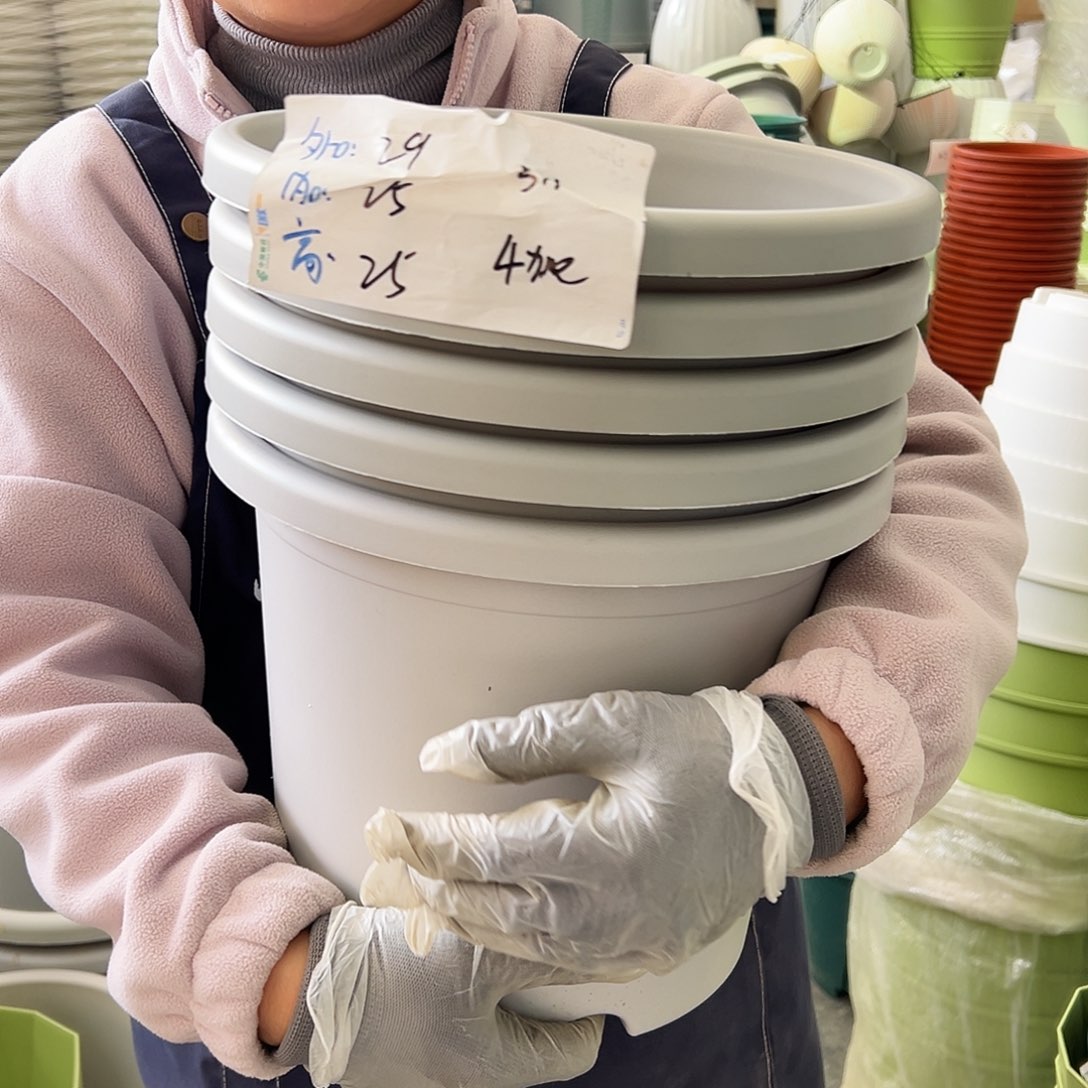 四季盆5#灰白色6个无托