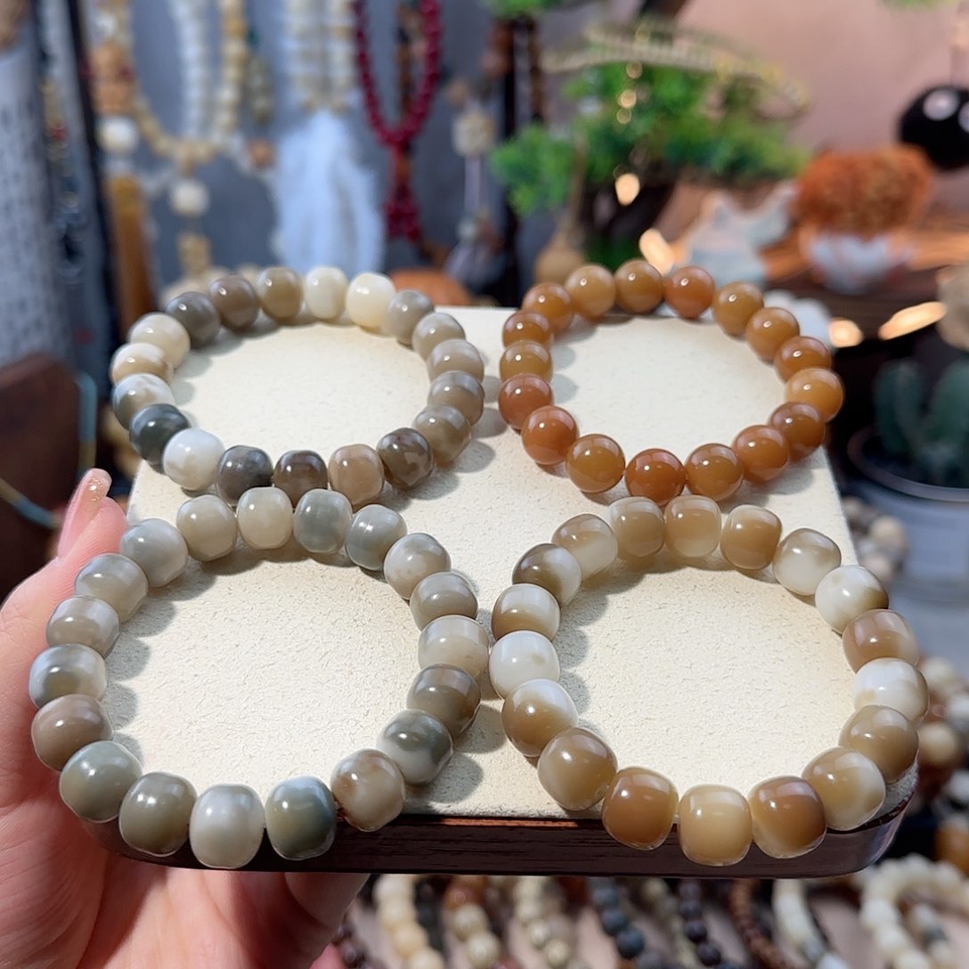 菩提根/象牙果吊坠开播福利