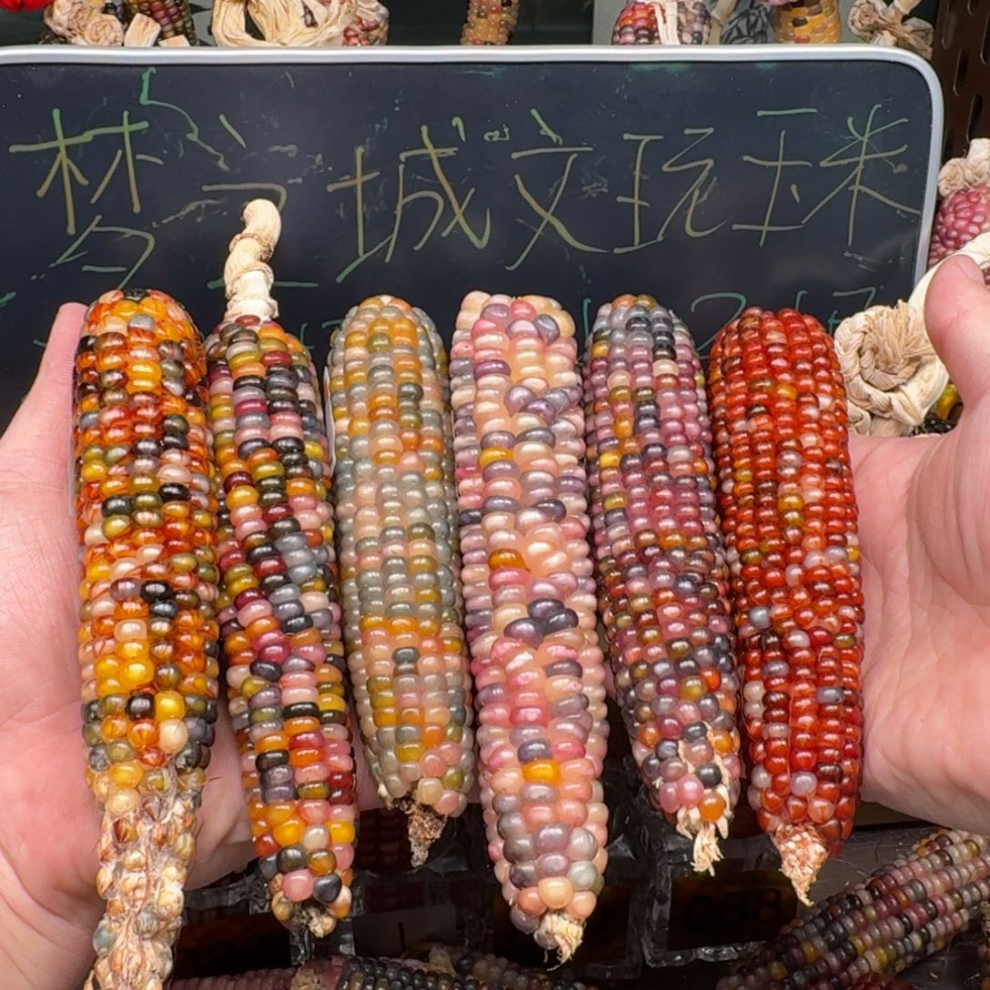 柏香籽/百香籽吊坠无**话