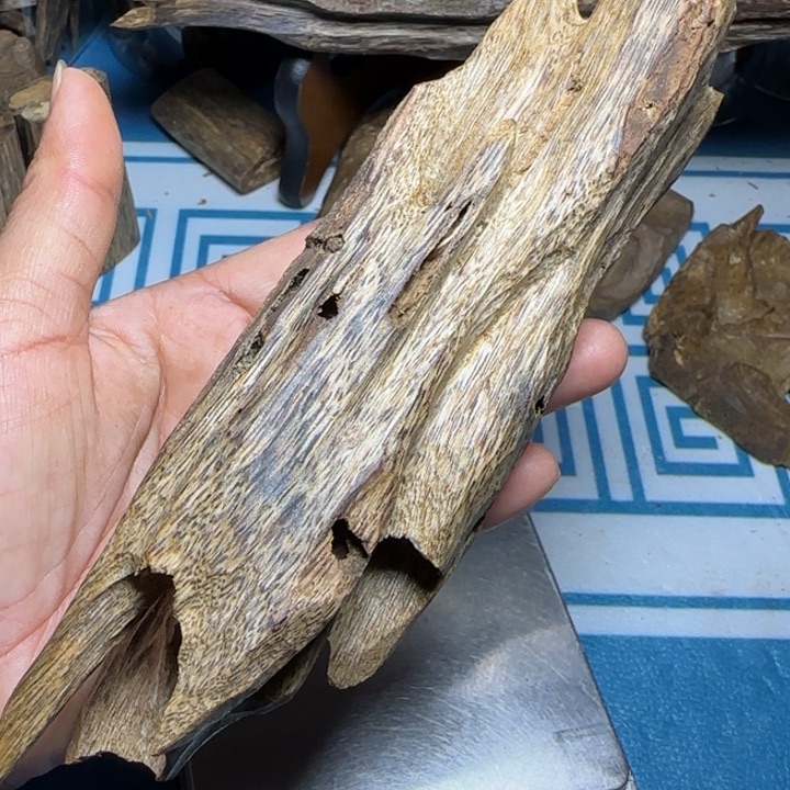 木质绿奇陆河虫漏58克