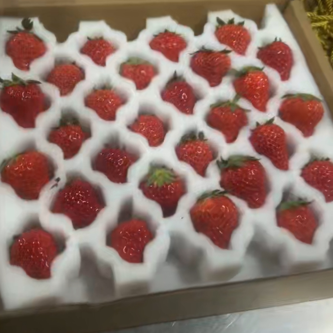 红颜牛奶草莓礼盒