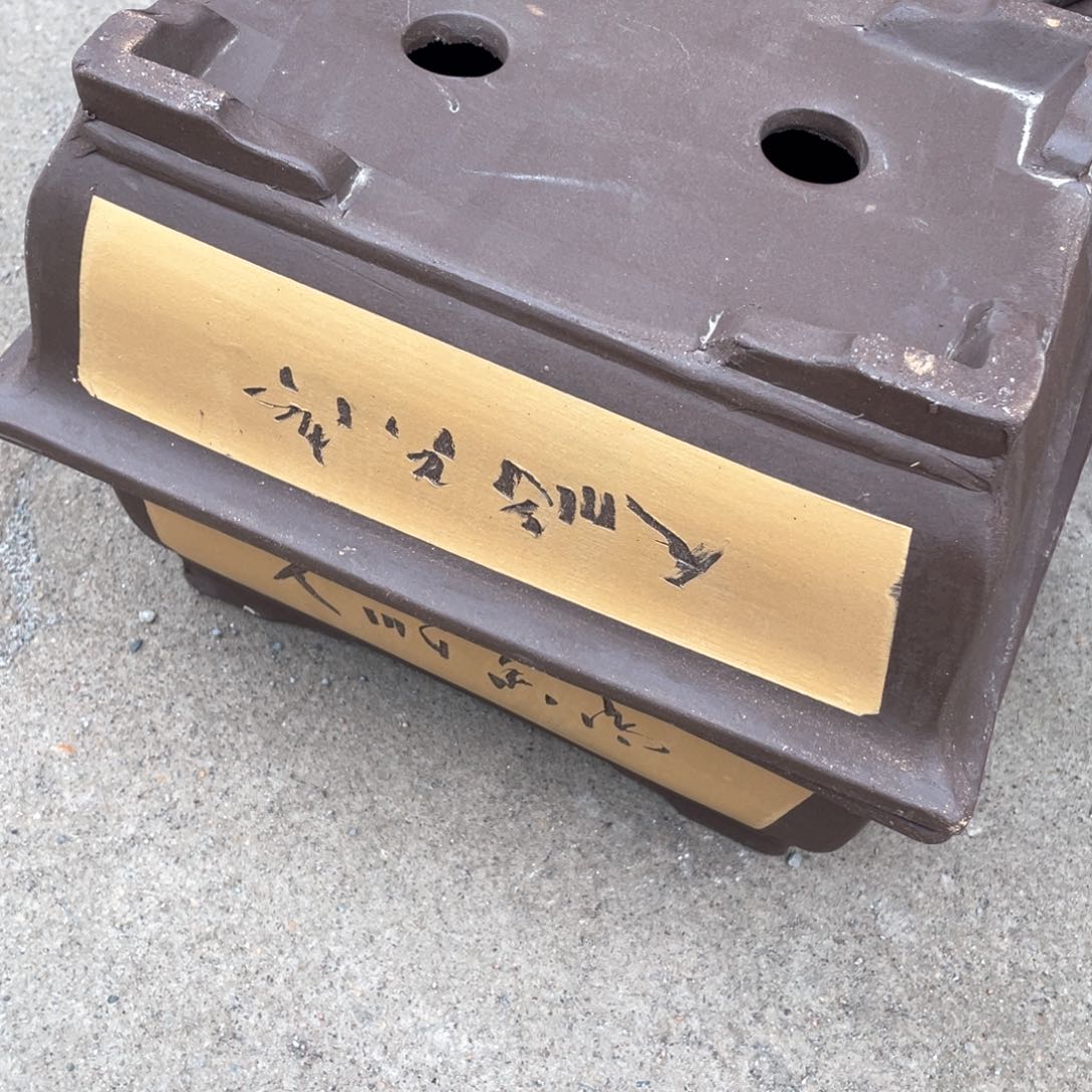 紫砂花盆紫砂花是最美丽