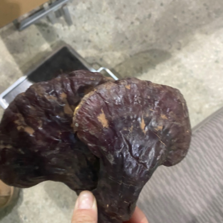 长白山灵芝 泡酒煲汤 改价链接