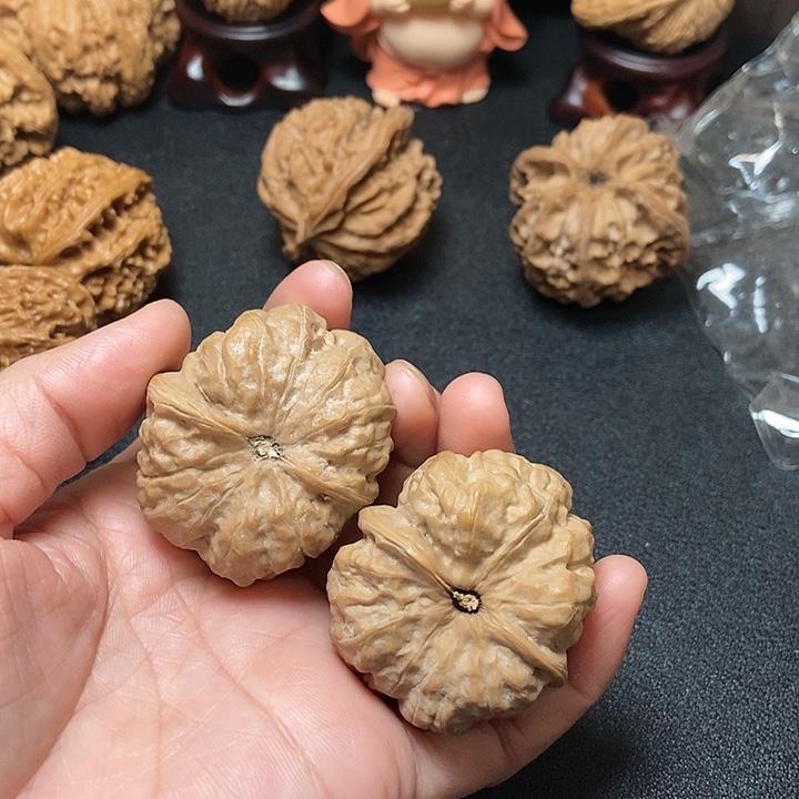 木质类狮子头 蛤蟆