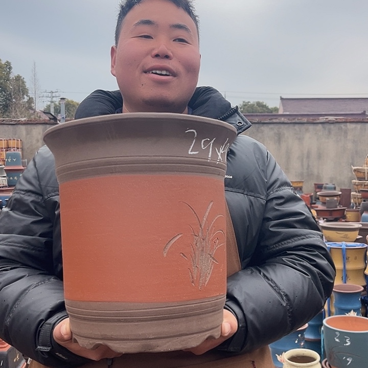 紫砂紫砂花盆盆栽