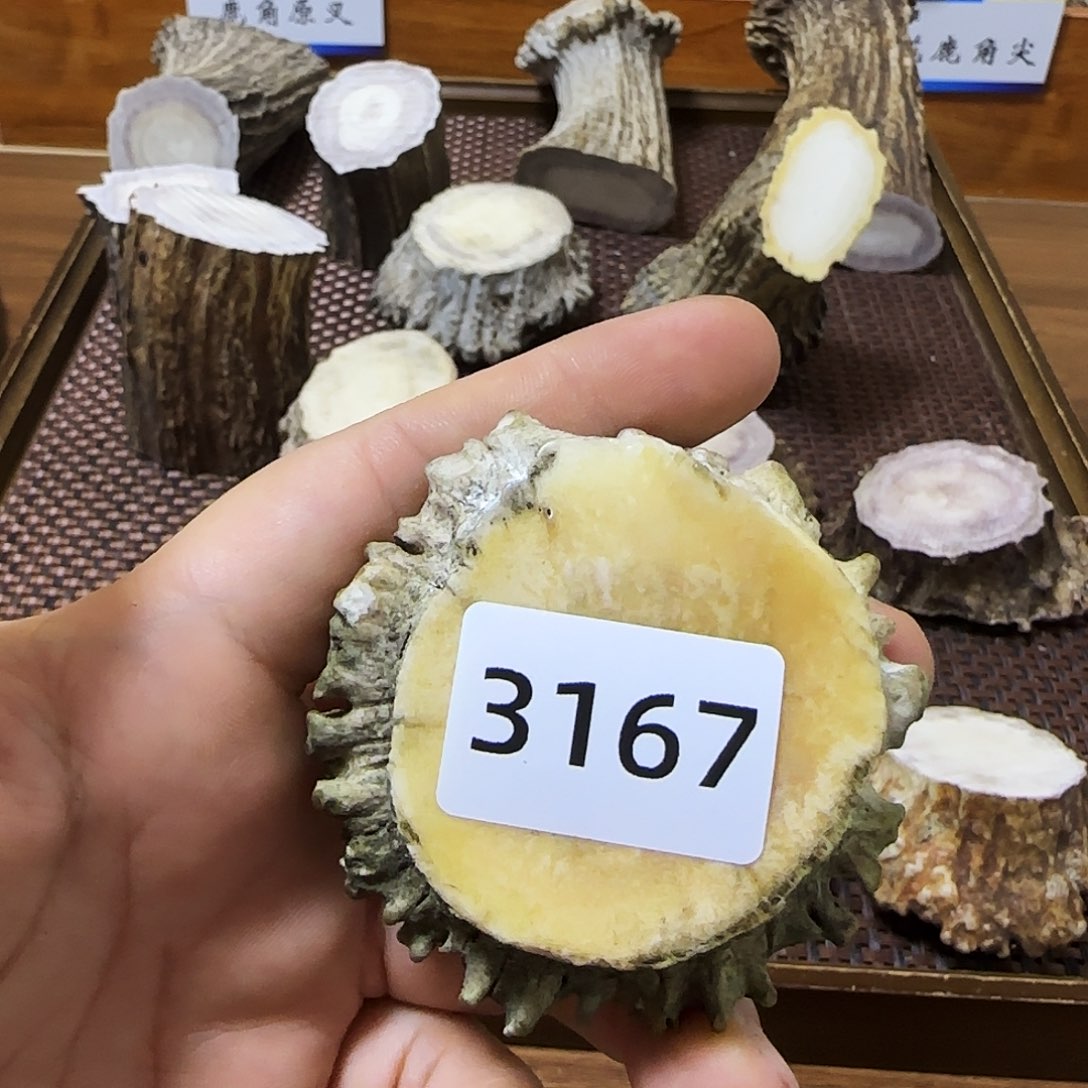 鹿骨手串/手链角帽3167