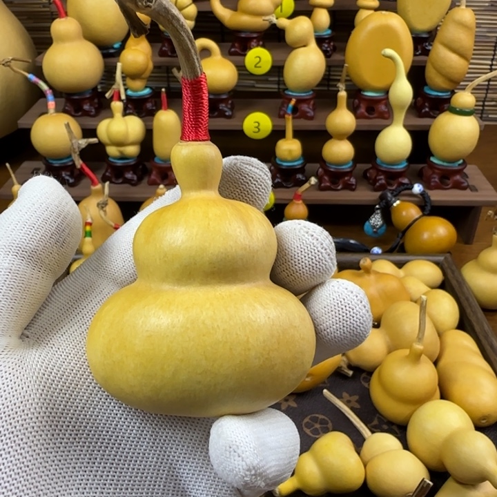 吃****葫芦哈哈哈哈哈哈哈