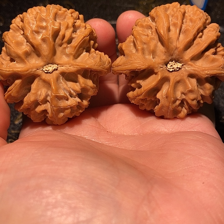 手串/手链核桃46 苹果园