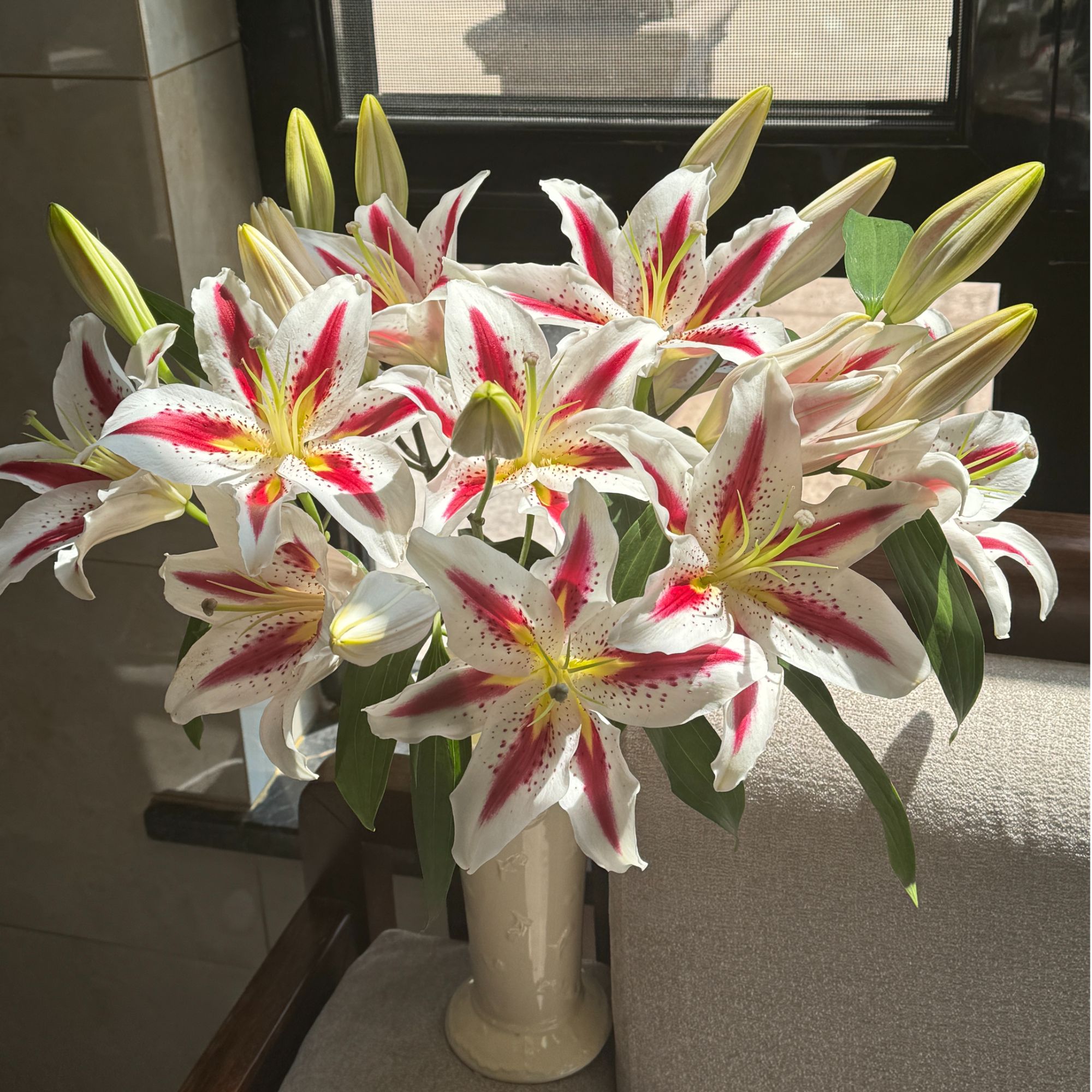 【陌上花开】多头笑脸-百合