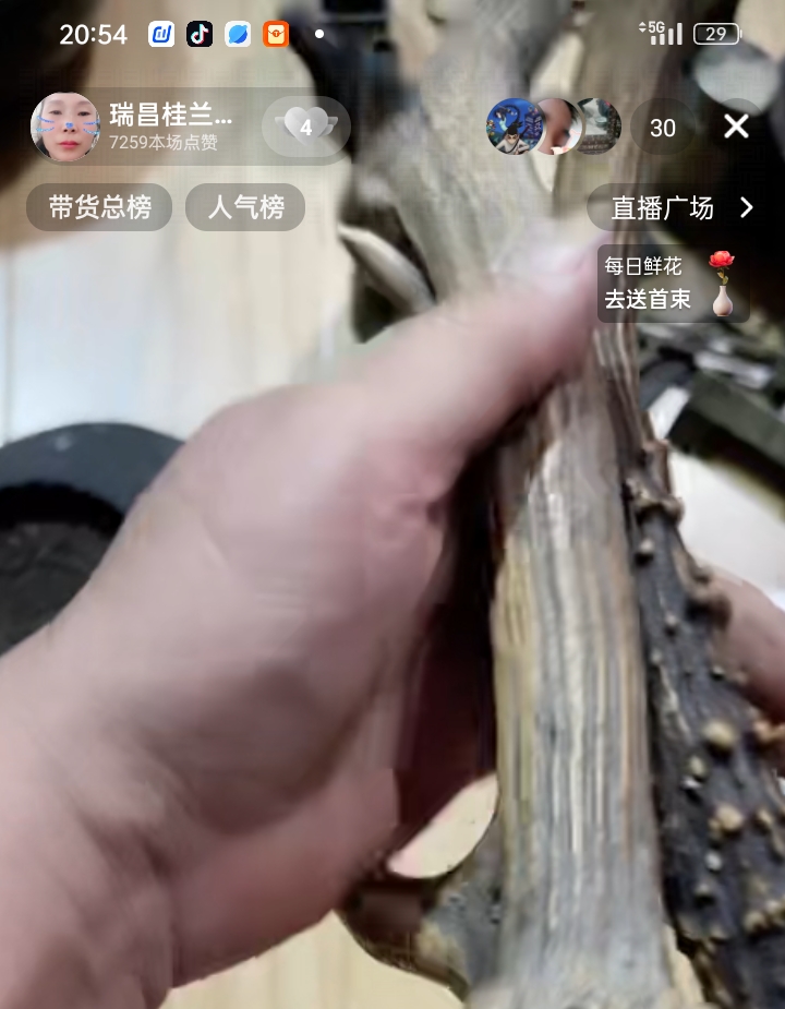 虫漏天然原料摆件可用于熏香散发蜜甜花香
