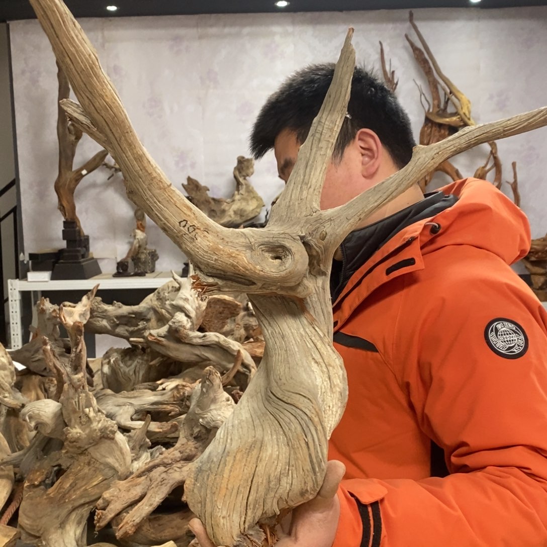 柏木缘**愉我们都是好孩子