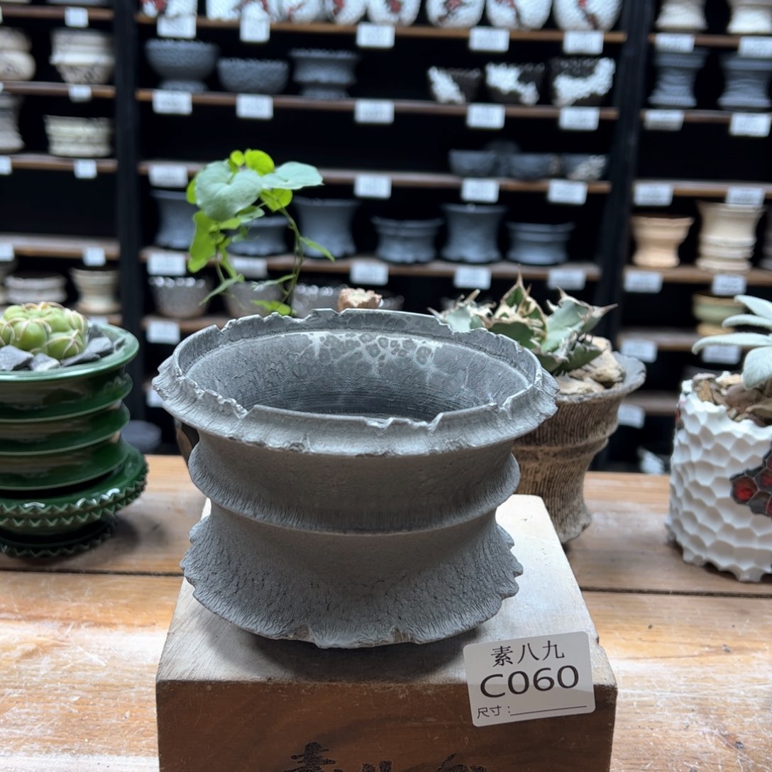 素八九陶瓷内口12高9.5