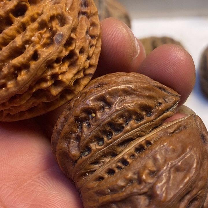 用***7吊坠桃核东北特产13