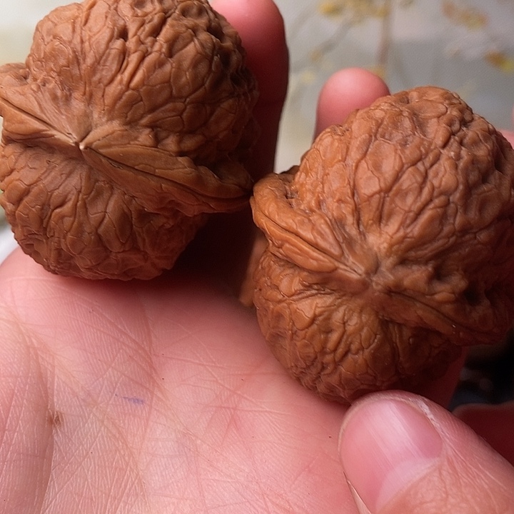 文玩核桃吊坠铁核桃57