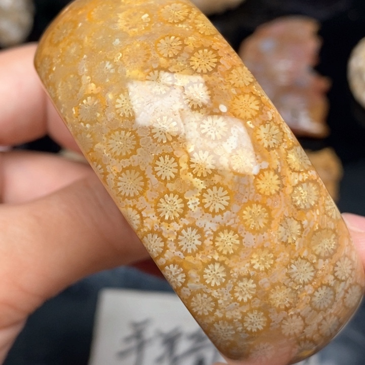 硅化珊瑚（珊瑚玉）手镯未镶嵌56.5