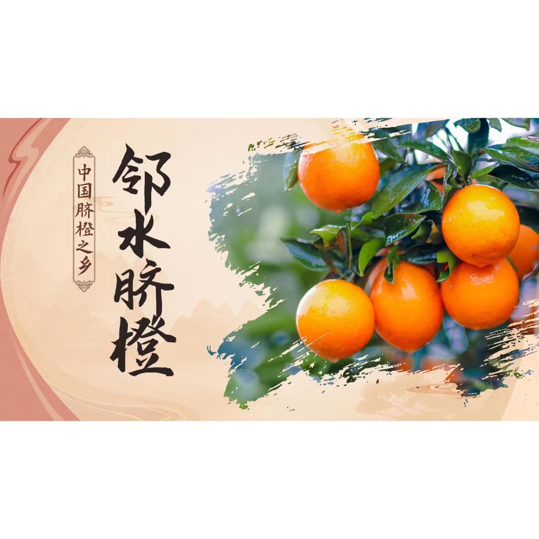 邻水脐橙冬橙纽荷尔酸甜适度入口化渣