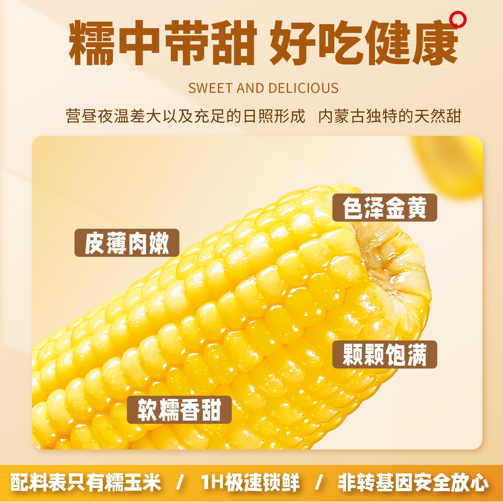 黄糯玉米8根 240g 软糯口感 拉丝低脂营养早餐 健康粗粮非转基因