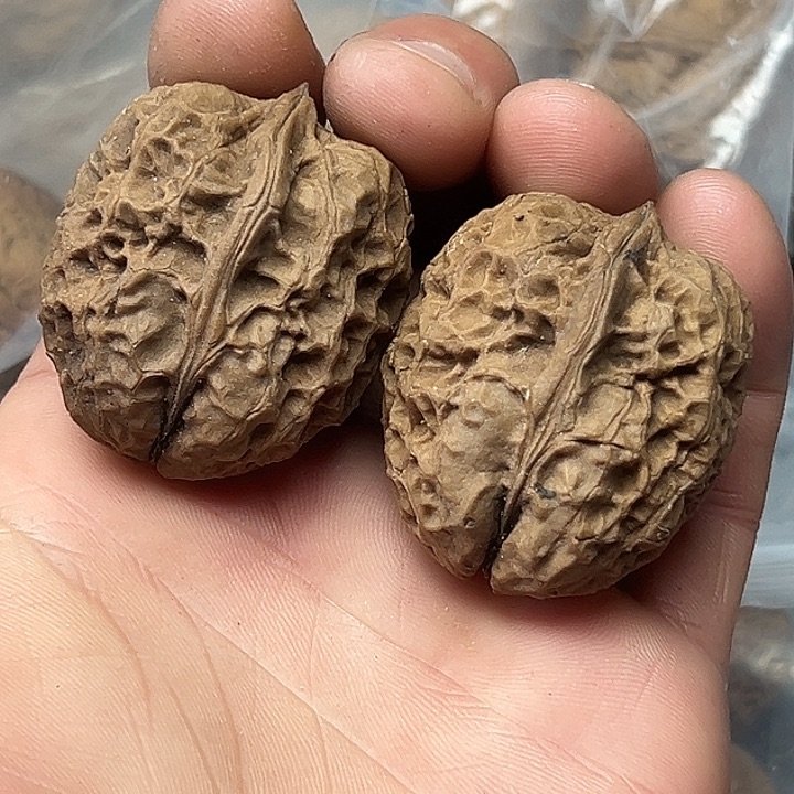 把件文玩核桃35号图腾金蟾36尺