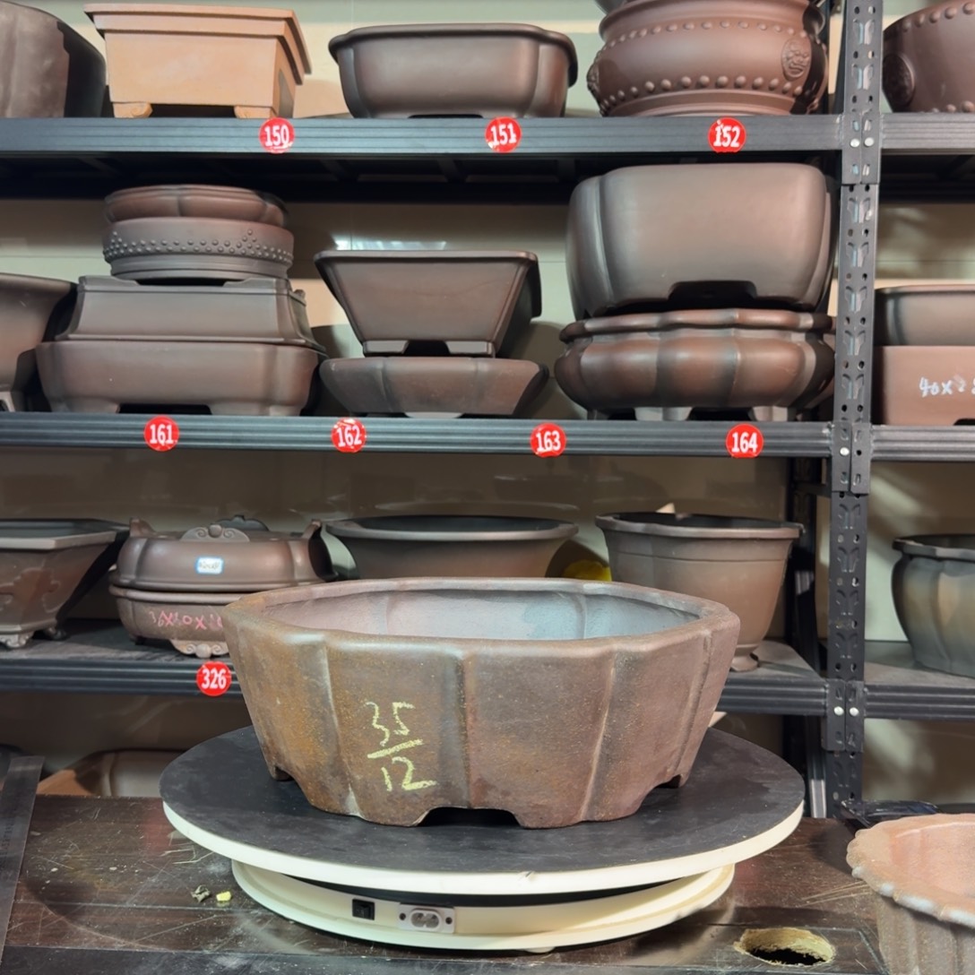 A***照紫砂呜呜呜我的宝呜呜我好喜欢这个