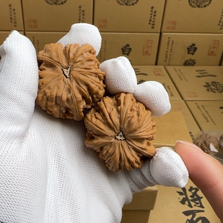 文玩核桃吊坠简单包装玉龙三棱