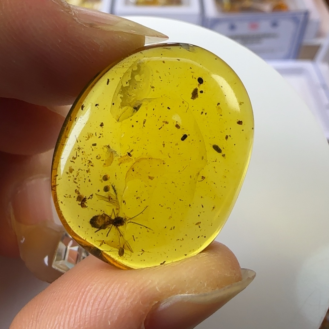 琥珀裸石未镶嵌清****1蜂