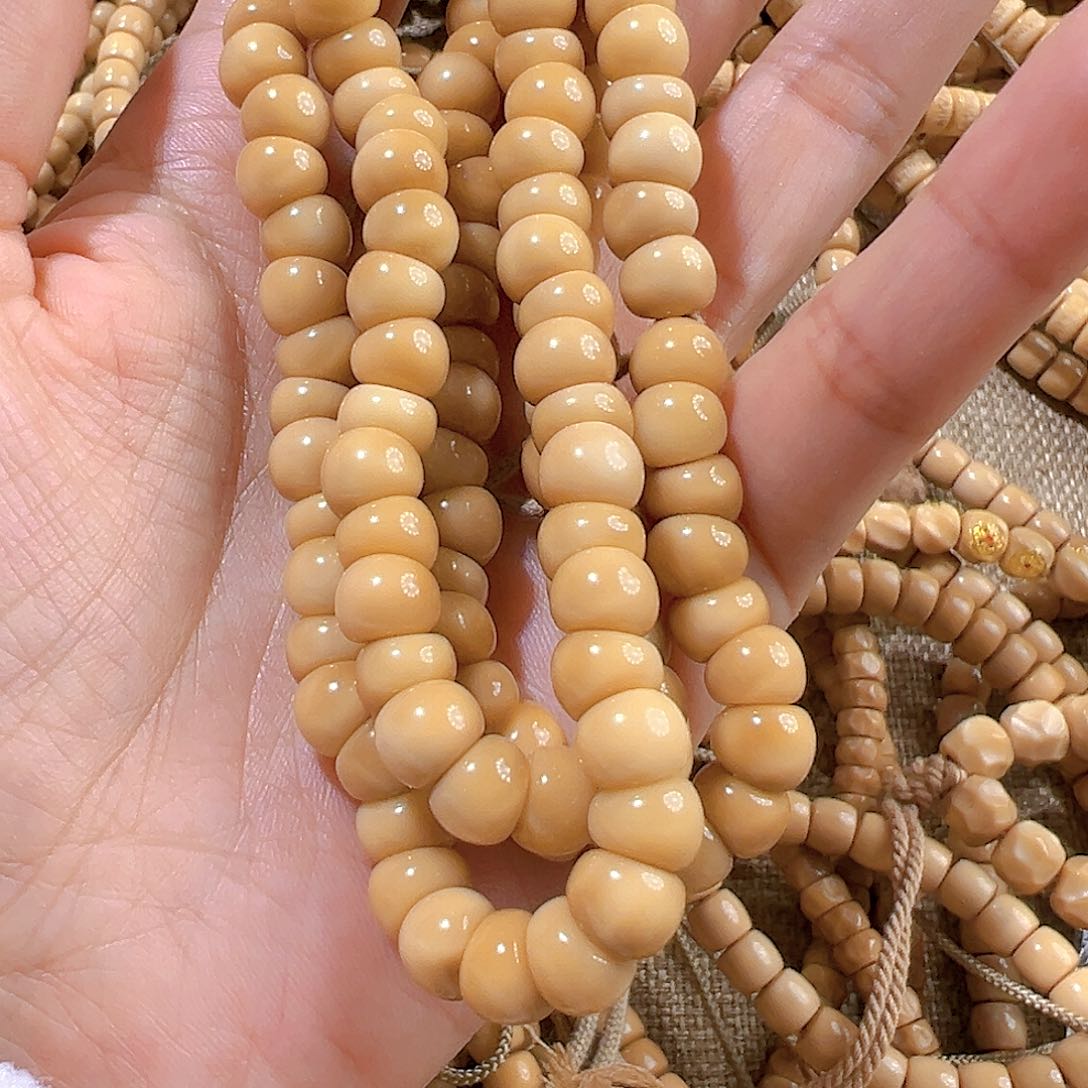 菩提根/象牙果手串卡8左右蒜瓣大肠