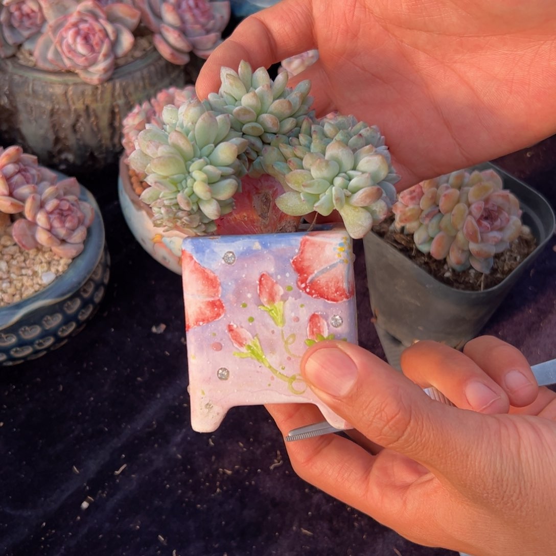 新年快乐 新年快乐